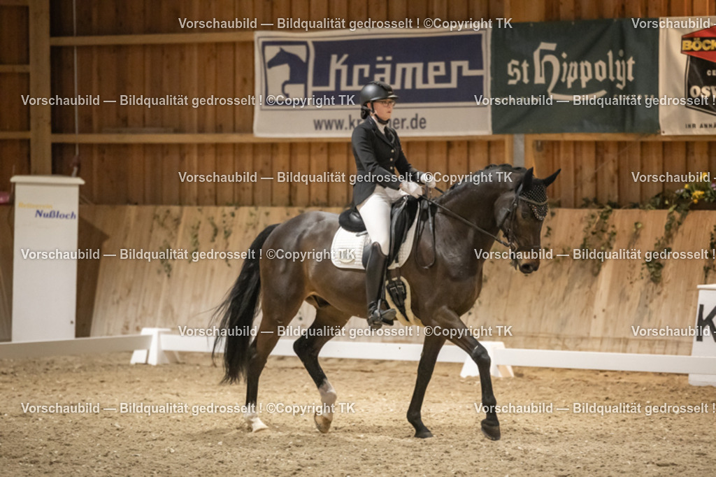 _D5A0629 | Emotionale Pferde- & People-Fotografie rund um Heidelberg, Leimen & Umgebung. Natürliche Fotos von Pferd, Mensch & Familie. Jetzt Termin sichern!