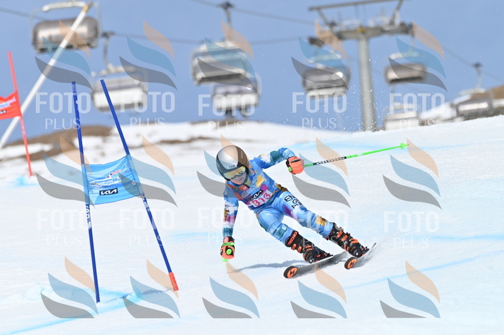 BGV_3005 | holidayphoto