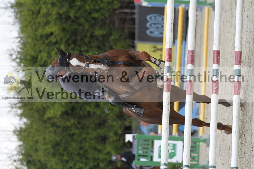 _MG_7651 | equestrian-live-com