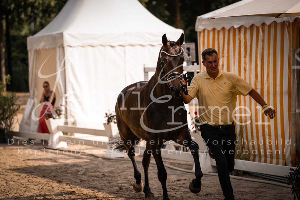 FrER00187 | Leoni Ertmer Photography - Realisiert mit Pictrs.com