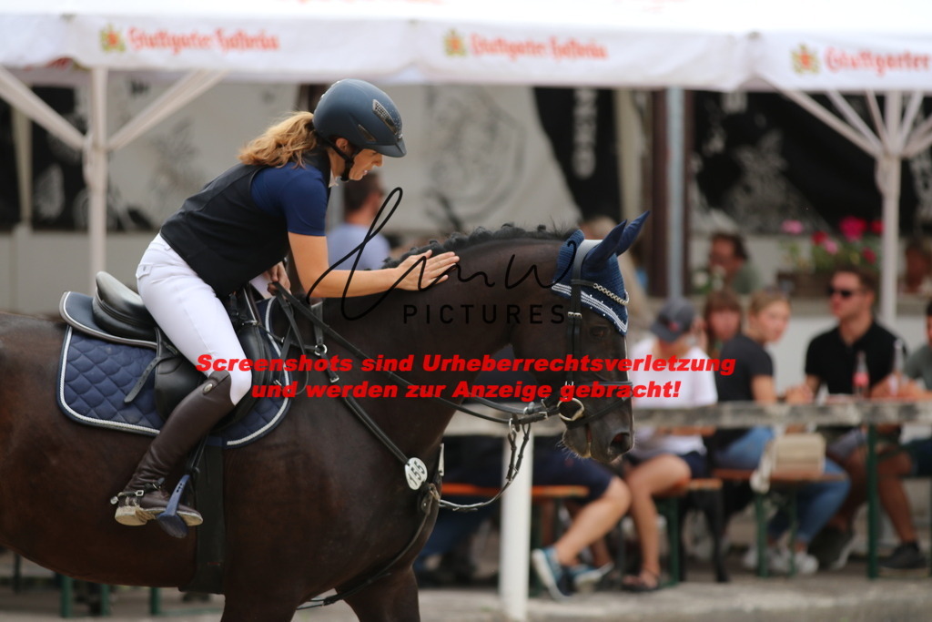 IMG_2211 | lmwpictures - Realisiert mit Pictrs.com