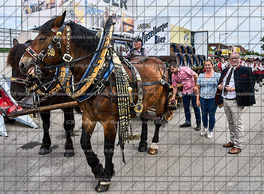 ALP9186_MESSE_LAND-FORST-JAGD_Wieselburger Bierwagen | (C)FotoLois.com, Alois Spandl, WIESELBURGER MESSE LAND-FORST-JAGD, Eröffnung mit Messerundgang mit BM Norbert Totschnig, LH Johanna Mickl-Leitner, LH-Stv. Stephan Pernkopf, LLK Johannes Schmuckenschlager, GF Marion Heim, Hannes Heindl, Bgm. Josef Leitner, Bgm. Franz Rafetseder, ..., Do 6. Juni 2024.