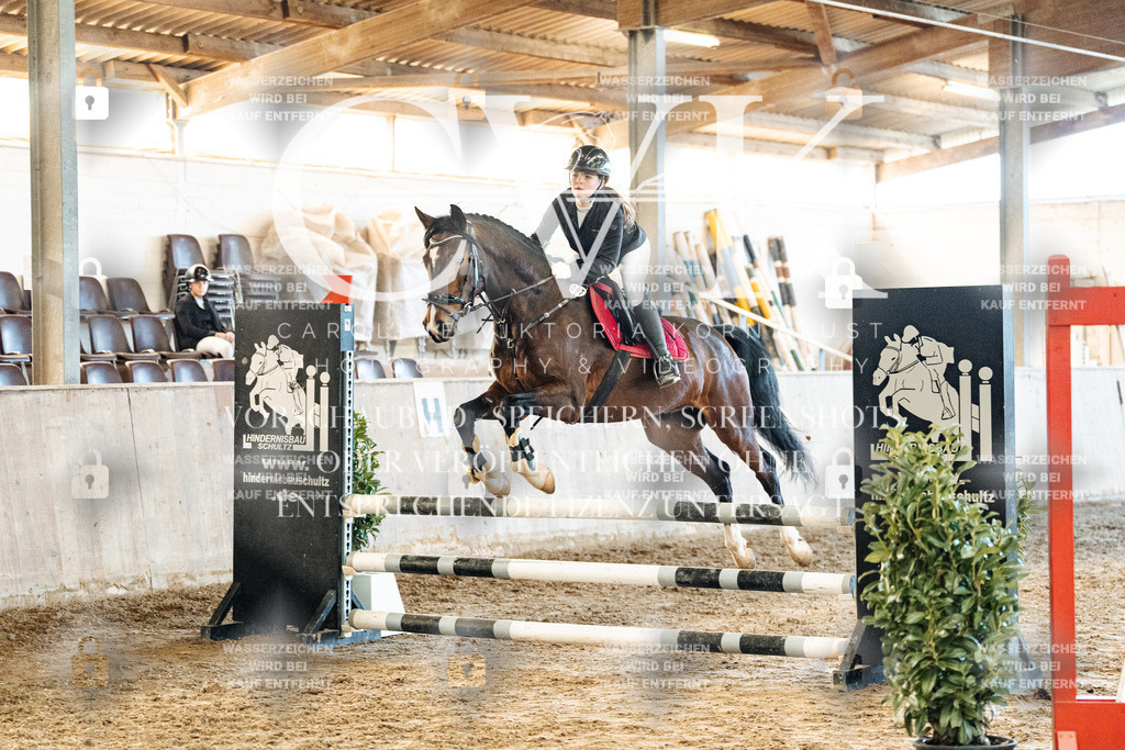 CK904520 | Turnierfotografie Pferdefotografie Trier Rheinland-Pfalz Pferdesport Reitsport Tierfotografie Sportfotografie Pferdevideo Pferdevideografie Equestrianvideography equestrianphotography  - Realisiert mit Pictrs.com