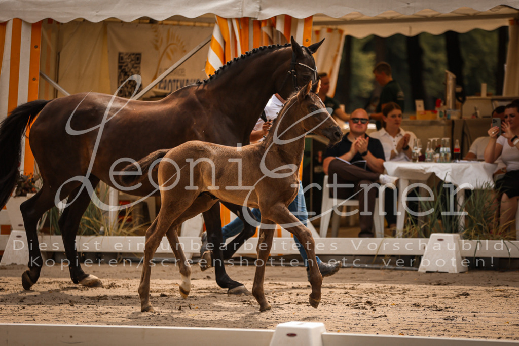 SaPA00064 | Leoni Ertmer Photography - Realisiert mit Pictrs.com