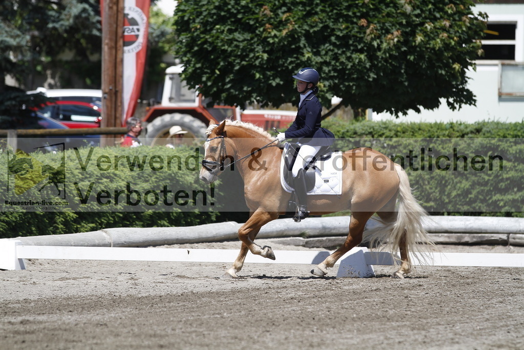 _MG_3907 | equestrian-live-com