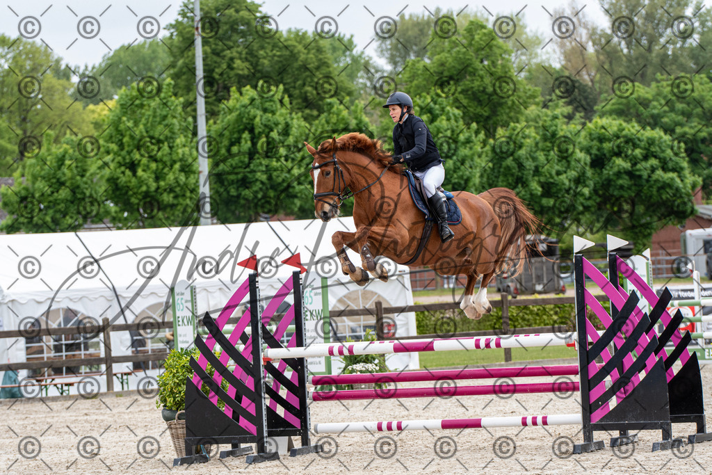 KPT_8430 | andre_photographic