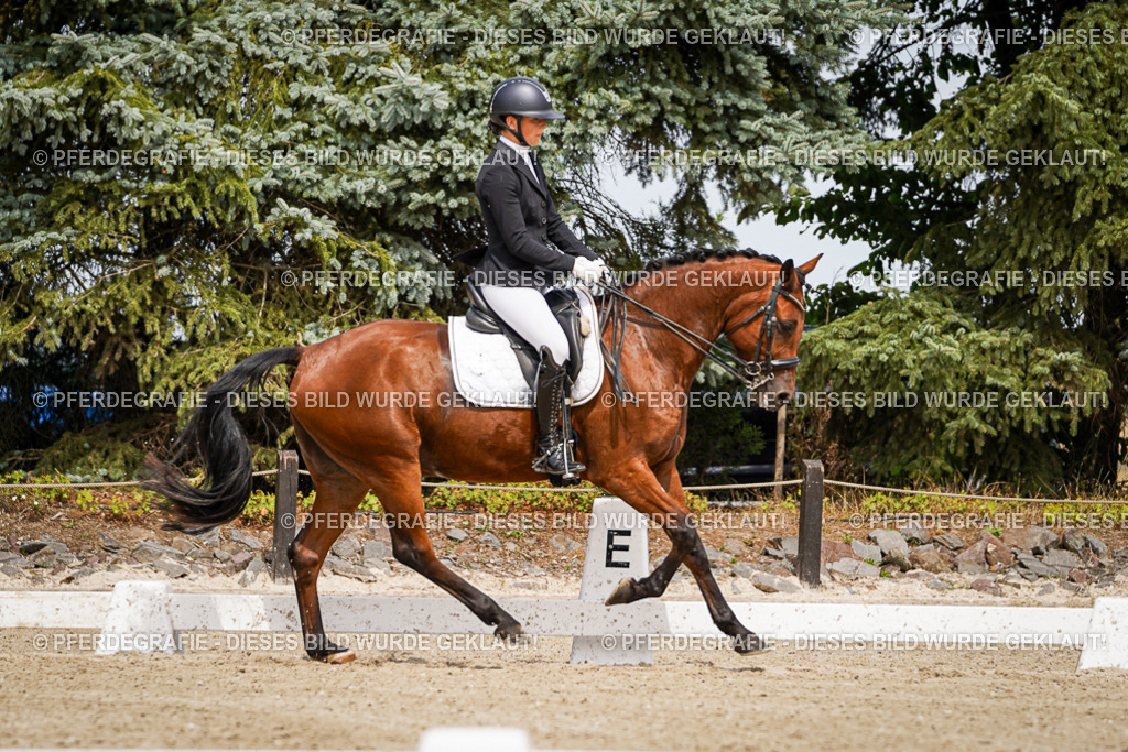 DSC05075 | Pferdegrafie