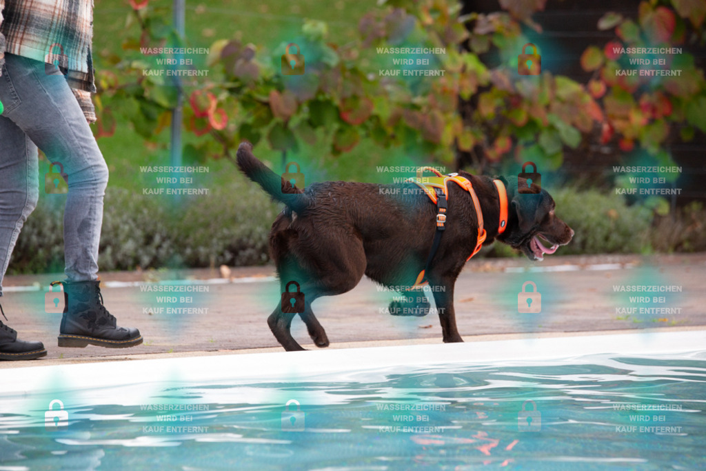 _HP_7554_1000o | HetPix, HetPix Fotodesign, Fotografie, Fotodesign, Webshop, Sportfotografie, Portraitfotografie, Onlineshop, Sportfotografie, Polch, Motorsportfotografie, Eventfotografie