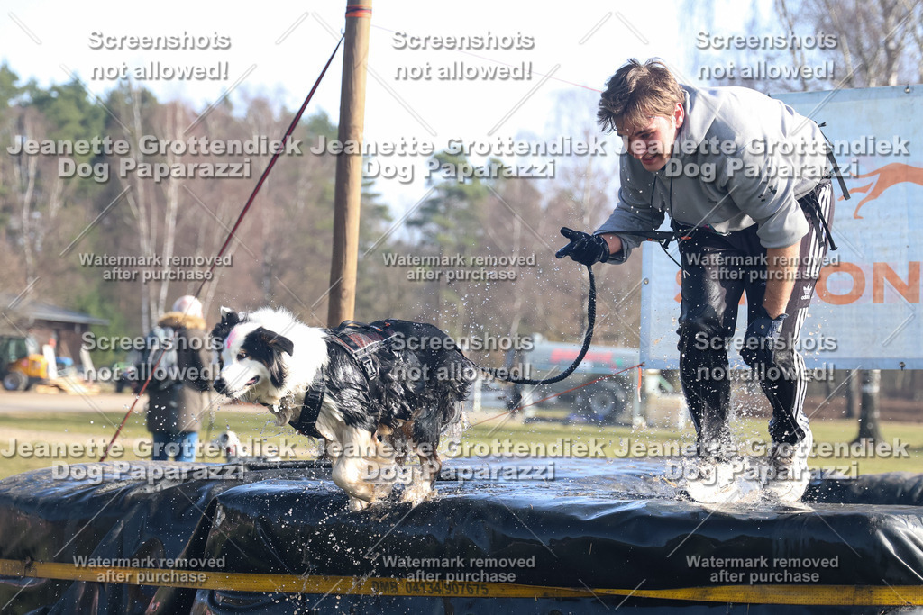 Dog Paparazzi - Strongdog North Mrz26-1215 | Dog Paparazzi Jeanette Grottendiek Fotografie & Videografie - Realisiert mit Pictrs.com