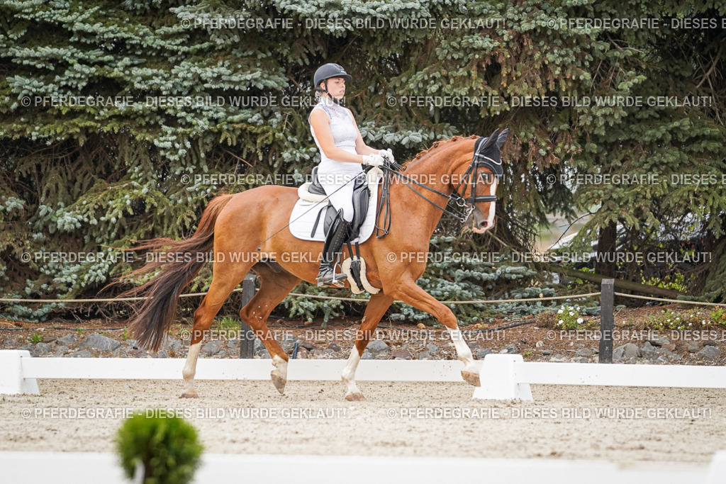 DSC08534 | Pferdegrafie