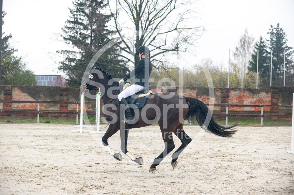 DSC_8973 | sattelsport - Realisiert mit Pictrs.com