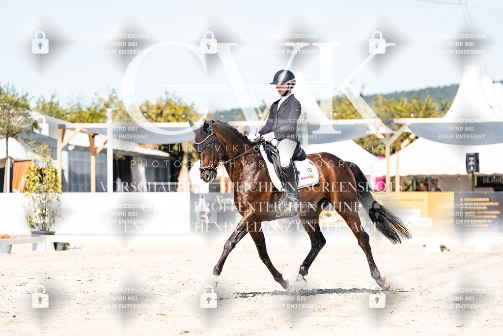 CK909462 | Turnierfotografie Pferdefotografie Trier Rheinland-Pfalz Pferdesport Reitsport Tierfotografie Sportfotografie Pferdevideo Pferdevideografie Equestrianvideography equestrianphotography  - Realisiert mit Pictrs.com
