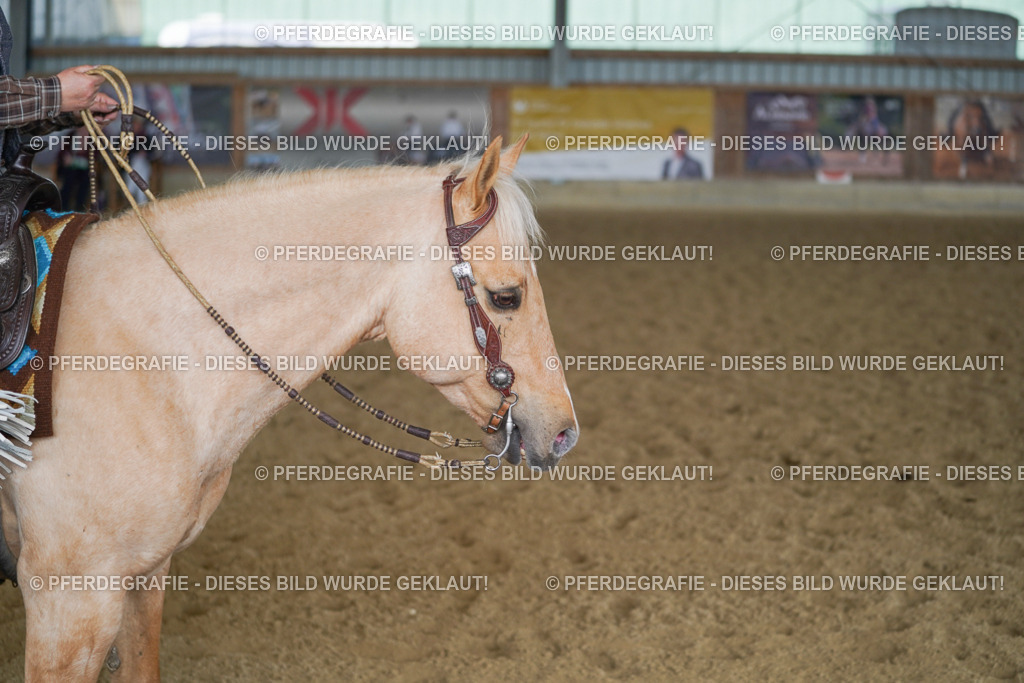 DSC00997 | Pferdegrafie