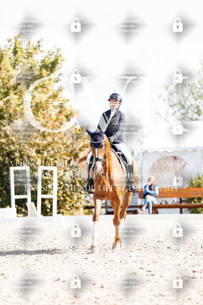 CK902501 | Turnierfotografie Pferdefotografie Trier Rheinland-Pfalz Pferdesport Reitsport Tierfotografie Sportfotografie Pferdevideo Pferdevideografie Equestrianvideography equestrianphotography  - Realisiert mit Pictrs.com