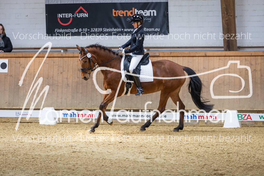 Sth-LPO25-A-Dr-017 | MomenTaufnahmen Pferdesportfotos