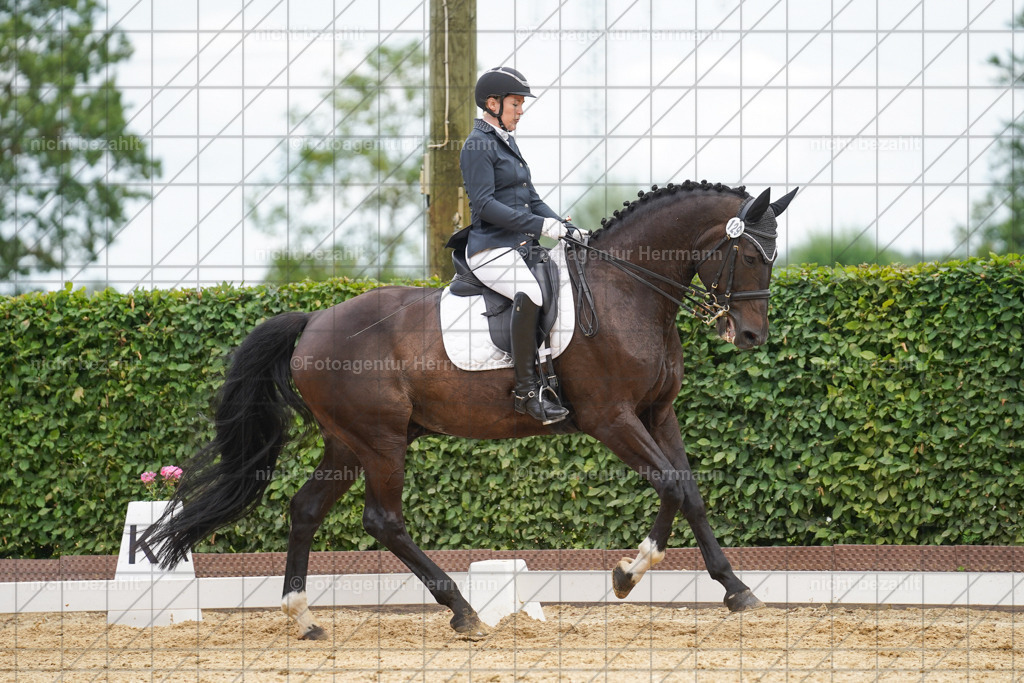 20240630-FAH02134 | Turnierbilder Schwabmünchen, Dressurbilder, Springreitturnier, Reitsportbilder, Turnierfotografen Bayern, Turnierfotograf