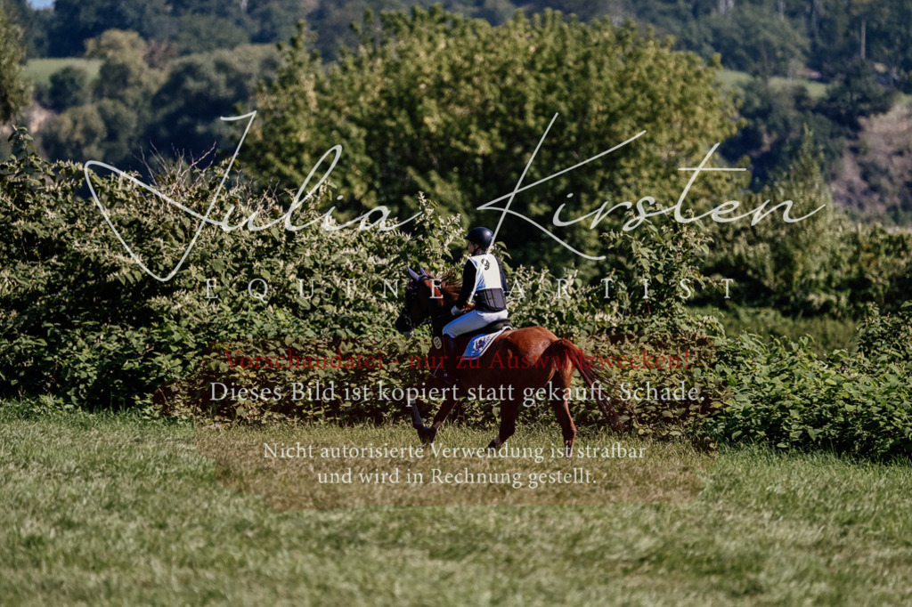 DSC_1652 | Pferde- und Turnierfotografie in Westsachsen. Pferdeportraits, Auftragszeichnungen und intuitive Kunst.