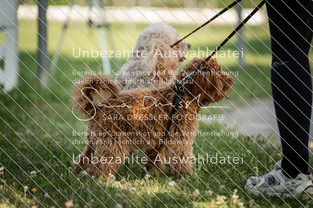 SD_Verl_05329 | saradresslerfotografie - Realisiert mit Pictrs.com