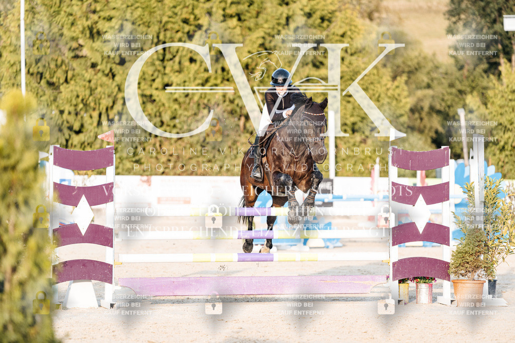 CK900940 | Turnierfotografie Pferdefotografie Trier Rheinland-Pfalz Pferdesport Reitsport Tierfotografie Sportfotografie Pferdevideo Pferdevideografie Equestrianvideography equestrianphotography  - Realisiert mit Pictrs.com