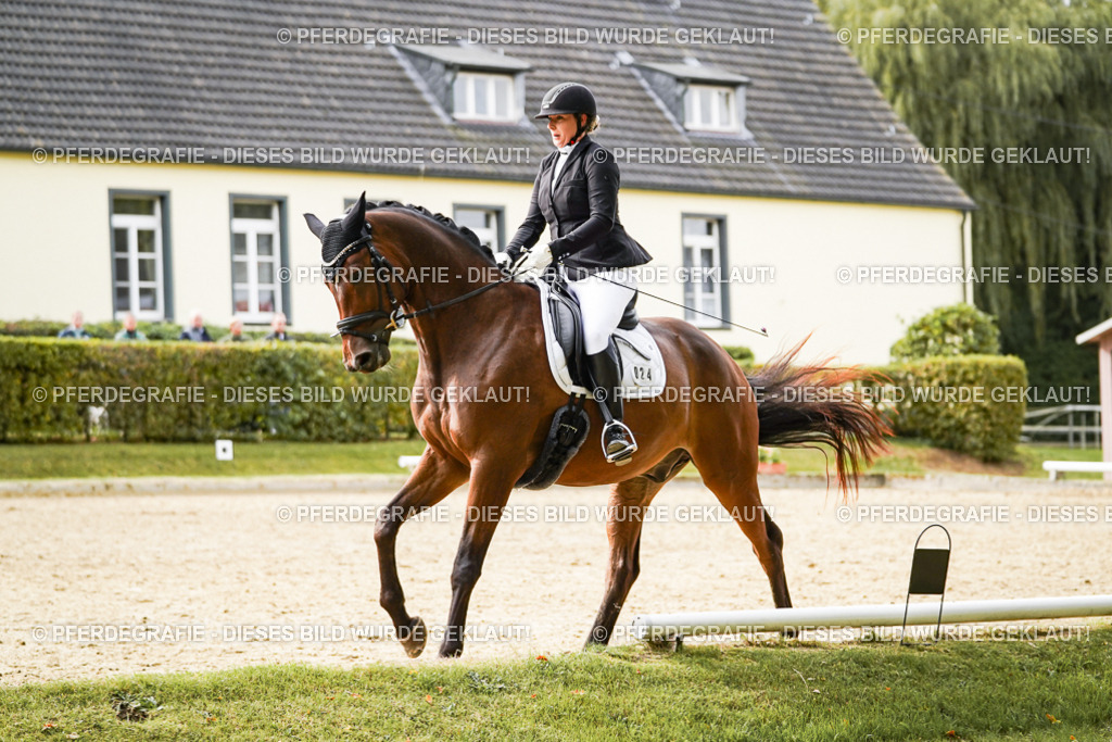 DSC09116 | Pferdegrafie