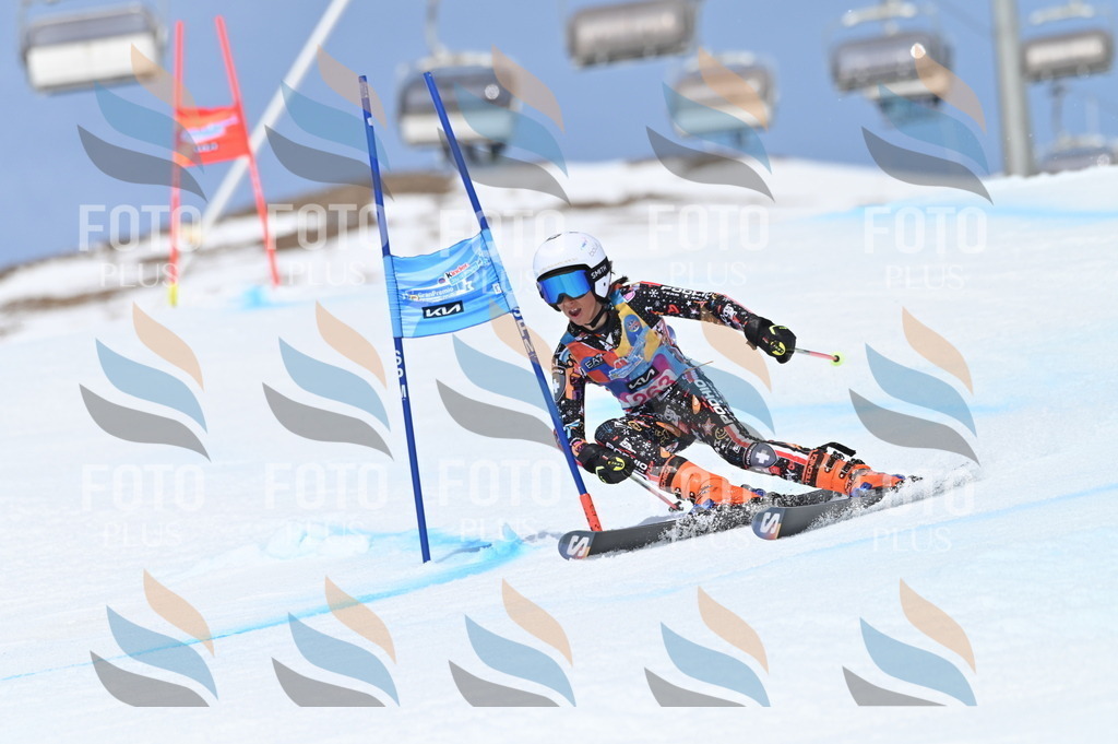 BGV_2131 | holidayphoto