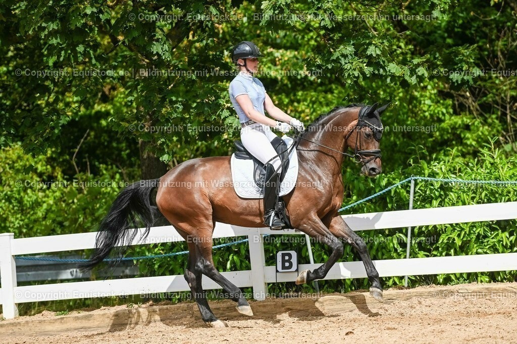 20230715_02_Dressurreiterprüfung Kl.L_0415 | equistock