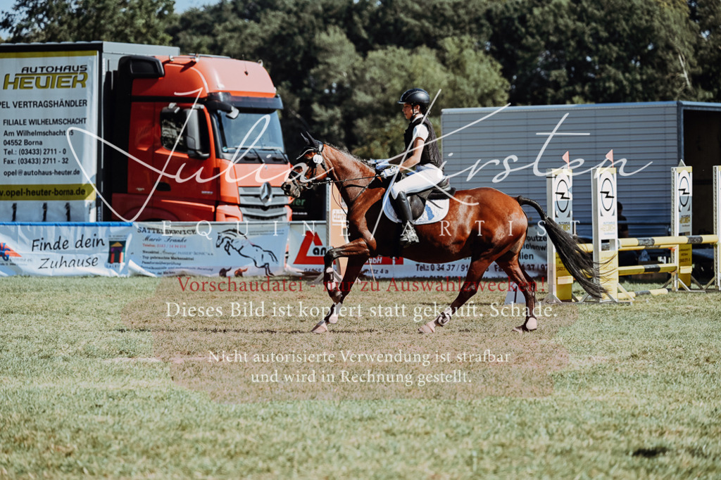DSC_6808 | Pferde- und Turnierfotografie in Westsachsen. Pferdeportraits, Auftragszeichnungen und intuitive Kunst.