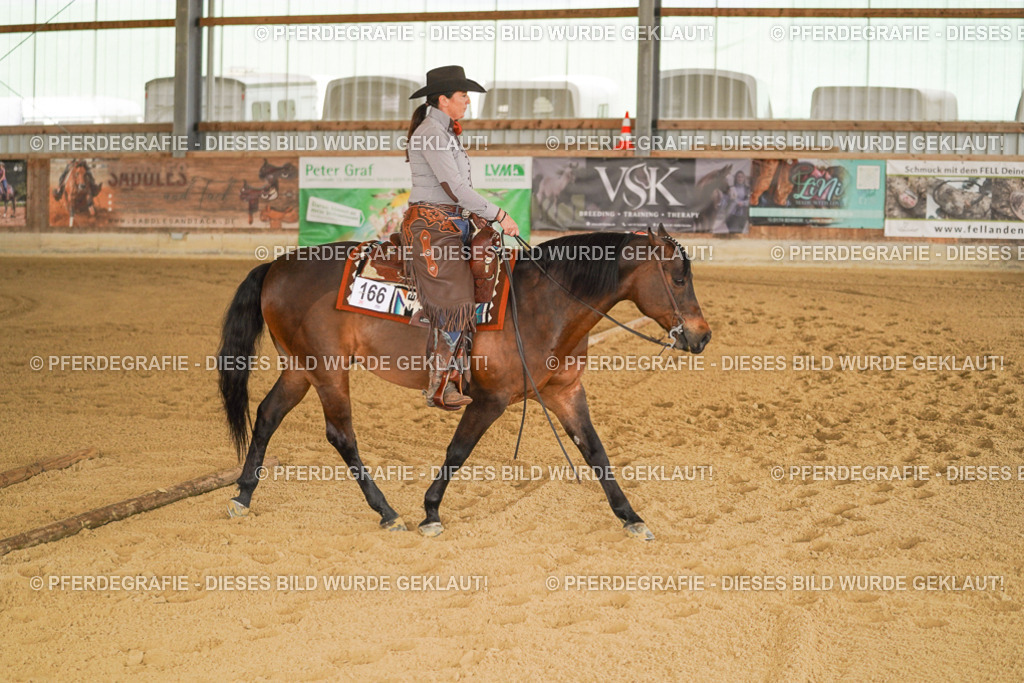 DSC04670 | Pferdegrafie