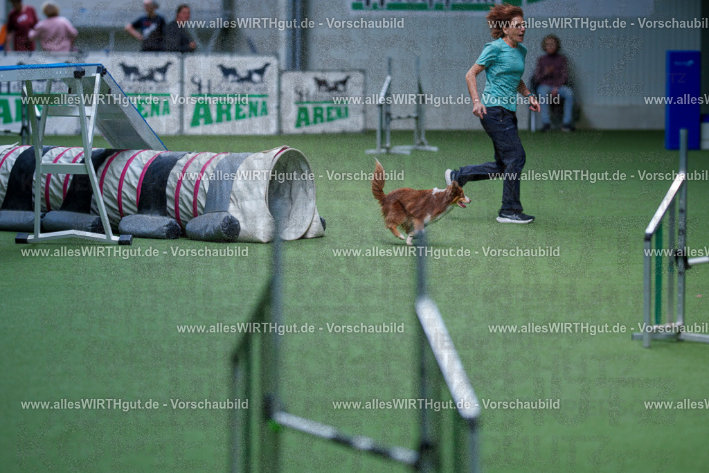 @allesWIRTHgut_Tierfotografie - www.allesWIRTHgut.de - 2604261114-7R509344 | Professionelle Tierfotografie in Mönchengladbach von Daniel Wirth (allesWIRTHgut). Liebevolle & natürliche Bilder von Hunden & Katzen für unvergessliche Erinnerungen.