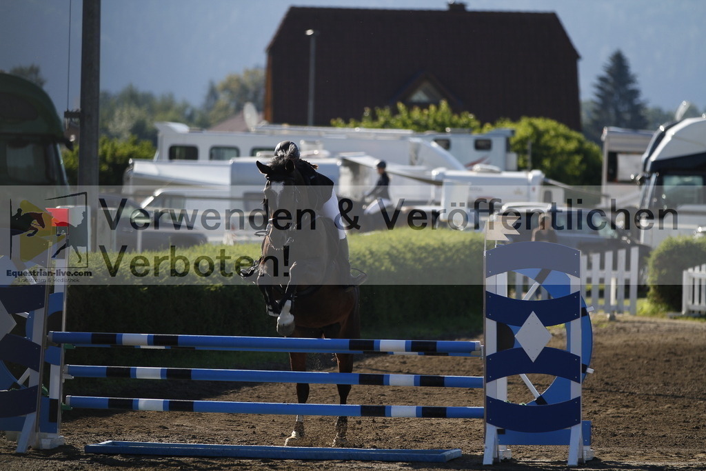 _MG_5595 | equestrian-live-com