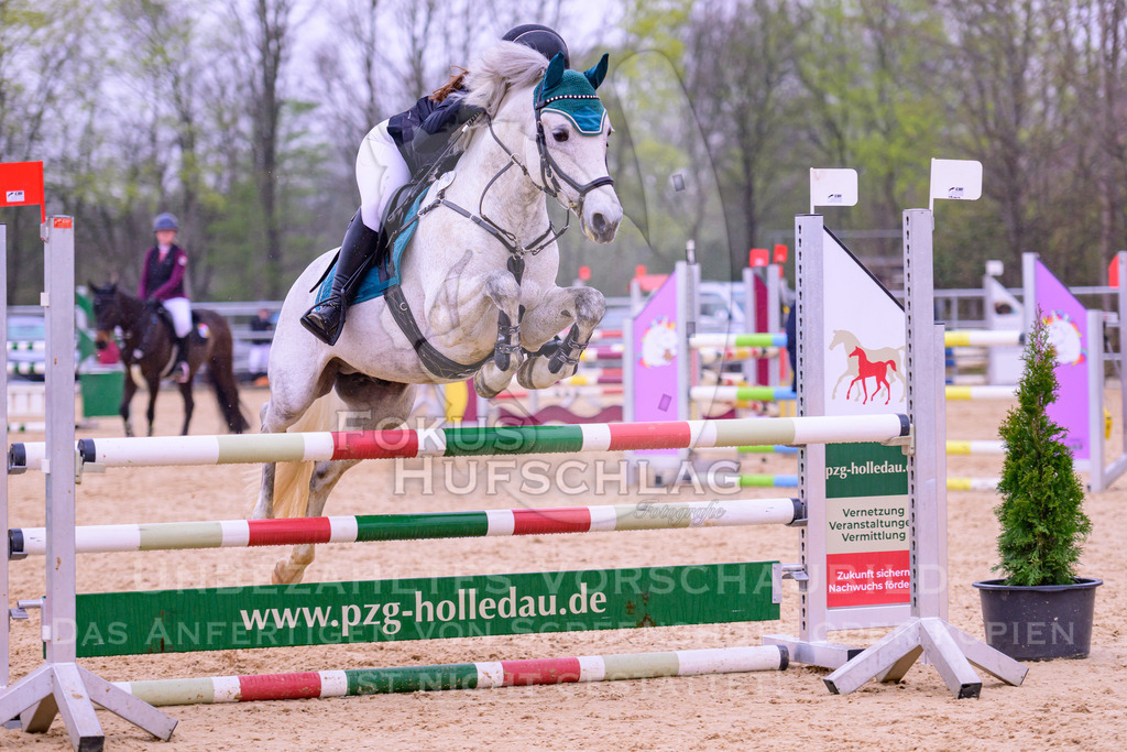 12042026-Mammendorf-Prfg41-0158 | Fokus Hufschlag Fotografie - Realisiert mit Pictrs.com