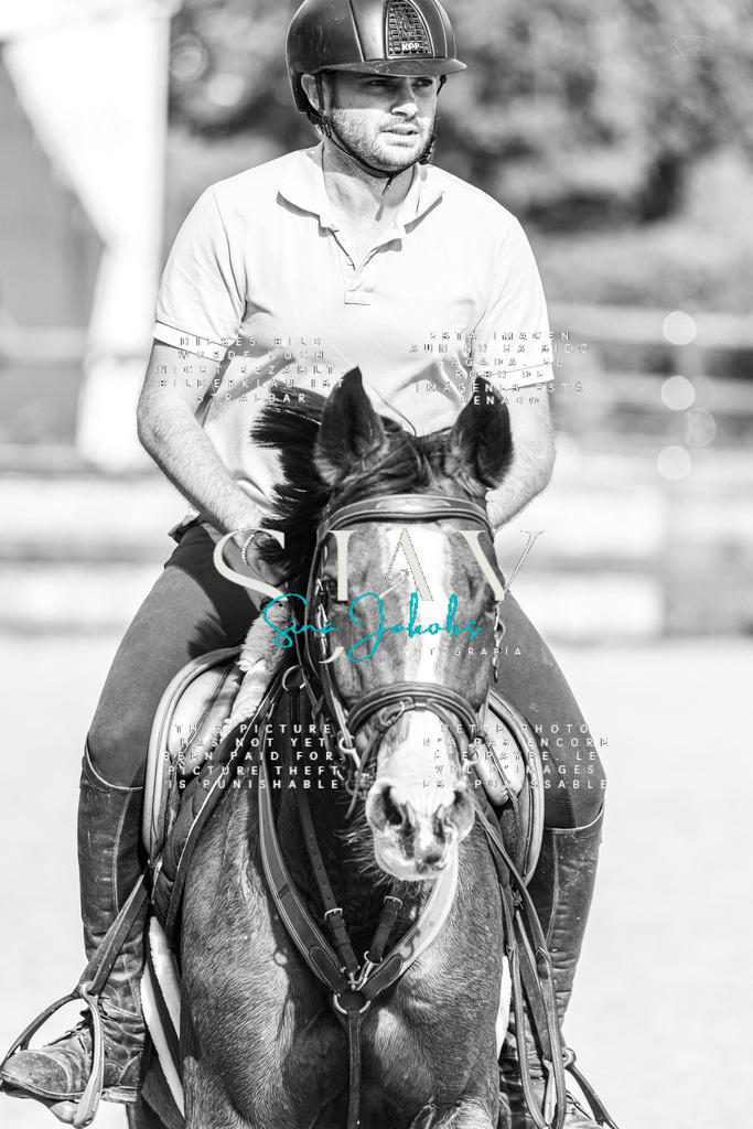 IMG_3448 | s-jay-photography - Realisiert mit Pictrs.com