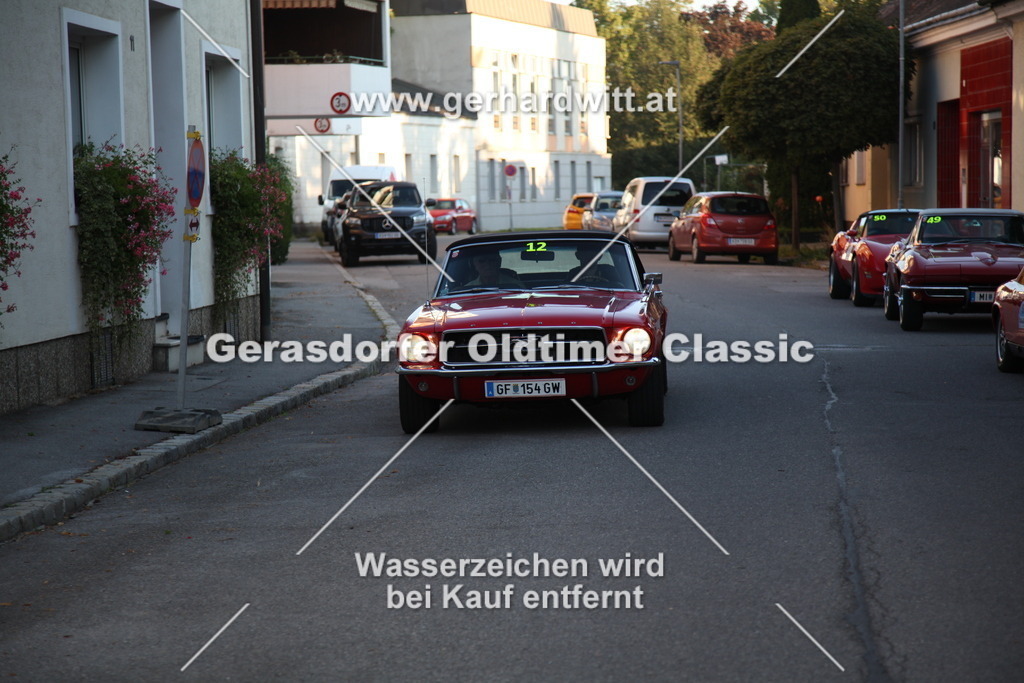 IMG_3799 | Gerhard Witt