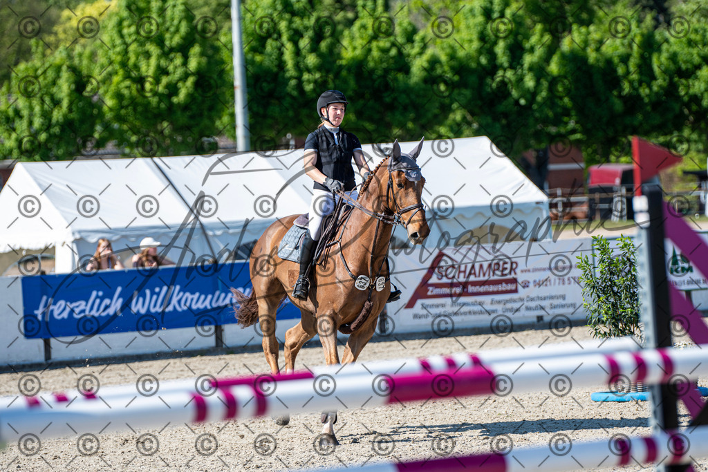 KPT_1668 | andre_photographic