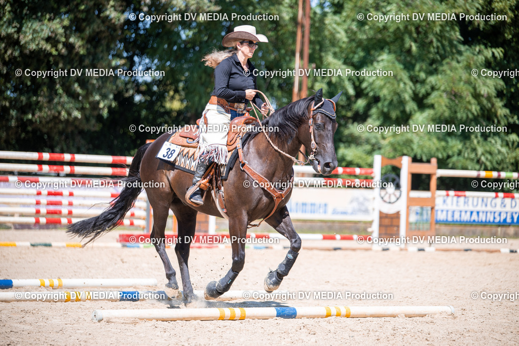 ZS1_1377 | dv-media-shop - Realisiert mit Pictrs.com