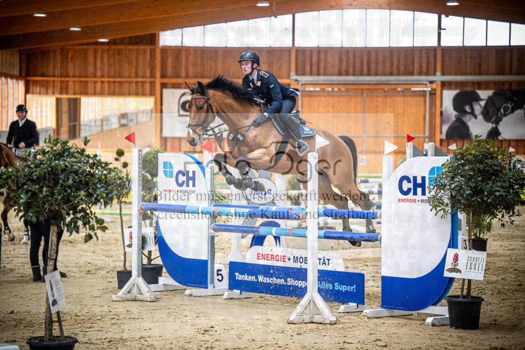 DOS_1232 | Entdecke hochwertige Reitturnierfotos von Foto Oger. Professionell, emotional und authentisch – jetzt Lieblingsmomente im Shop bestellen.Deutschlandweite Turnierfotografie. - Realisiert mit Pictrs.com