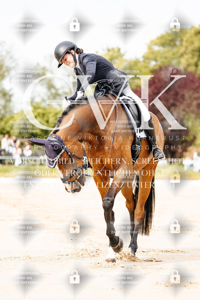CK900730 | Turnierfotografie Pferdefotografie Trier Rheinland-Pfalz Pferdesport Reitsport Tierfotografie Sportfotografie Pferdevideo Pferdevideografie Equestrianvideography equestrianphotography  - Realisiert mit Pictrs.com