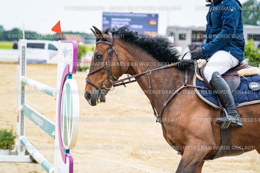 DSC08953 | Pferdegrafie