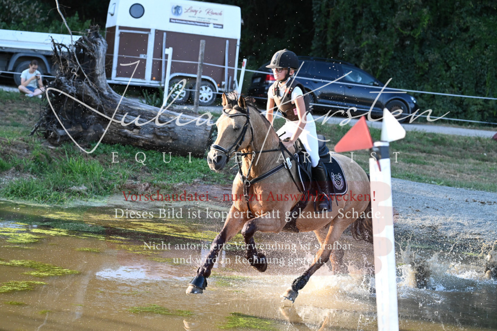 DSC_9188 | Pferde- und Turnierfotografie in Westsachsen. Pferdeportraits, Auftragszeichnungen und intuitive Kunst.