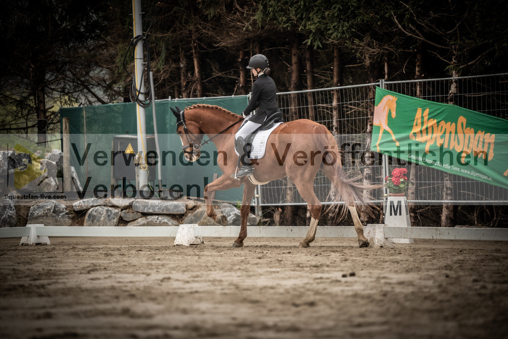 DSC_0198 | equestrian-live-com