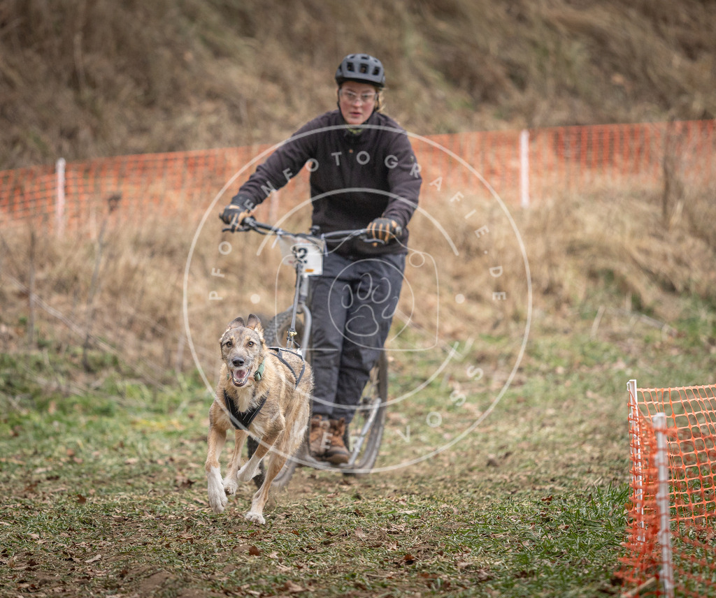 Pfotenfotografie_DV3A6622 | Hundefotografie, Tierfotograf, Pfotenfotografie, Fotoshooting Hund, Hunde Portrait, Hundesport, Hundeportraits, Heideshooting, Hunde, Sportfotograf, Hundefotograf, Turnierhundsport, THS,  - Realisiert mit Pictrs.com