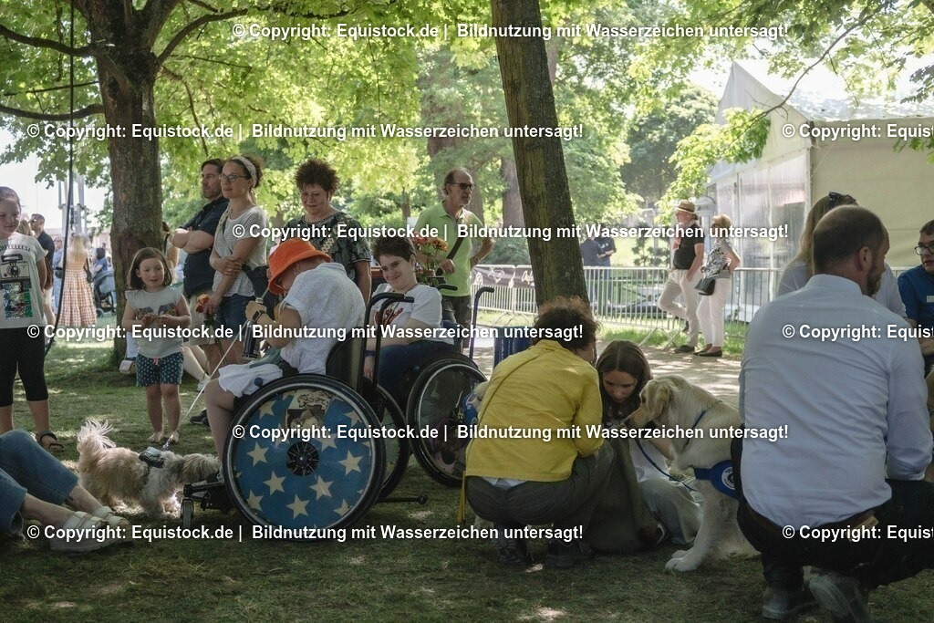 ZFC_4319 | equistock