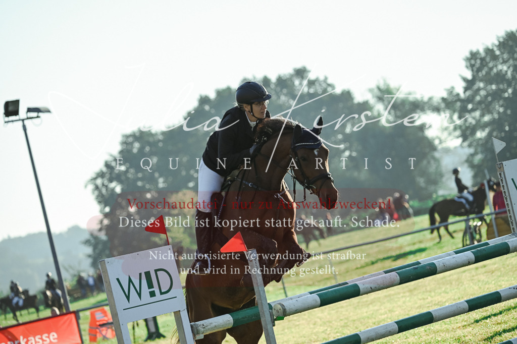 DSC_3914 | Pferde- und Turnierfotografie in Westsachsen. Pferdeportraits, Auftragszeichnungen und intuitive Kunst.