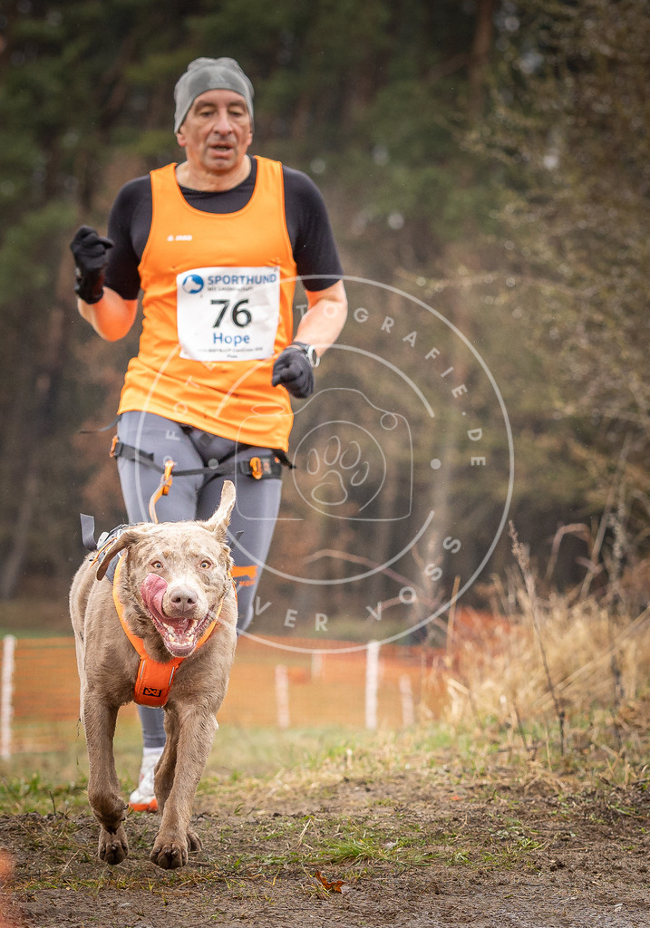 DV3A0301 | Hundefotografie, Tierfotograf, Pfotenfotografie, Fotoshooting Hund, Hunde Portrait, Hundesport, Hundeportraits, Heideshooting, Hunde, Sportfotograf, Hundefotograf, Turnierhundsport, THS,  - Realisiert mit Pictrs.com
