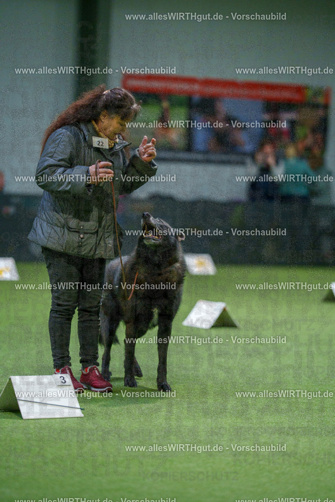 7R500043 | Professionelle Tierfotografie in Mönchengladbach von Daniel Wirth (allesWIRTHgut). Liebevolle & natürliche Bilder von Hunden & Katzen für unvergessliche Erinnerungen.