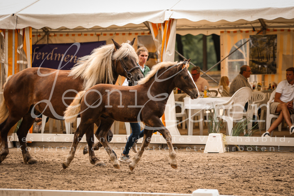 SaHF00101 | Leoni Ertmer Photography - Realisiert mit Pictrs.com