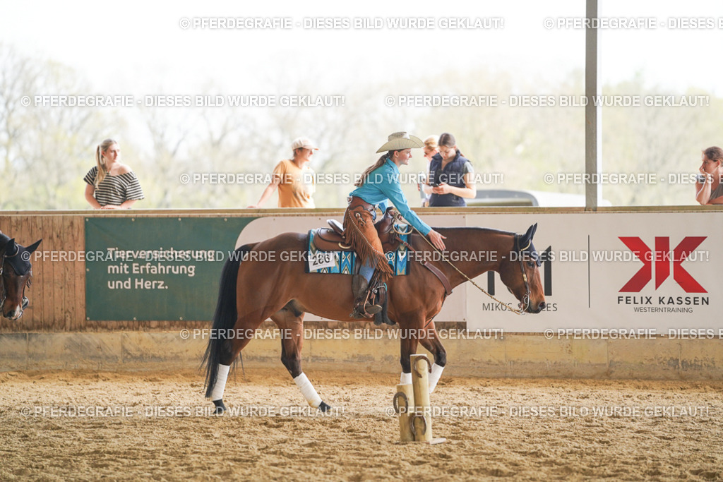 DSC00901 | Pferdegrafie