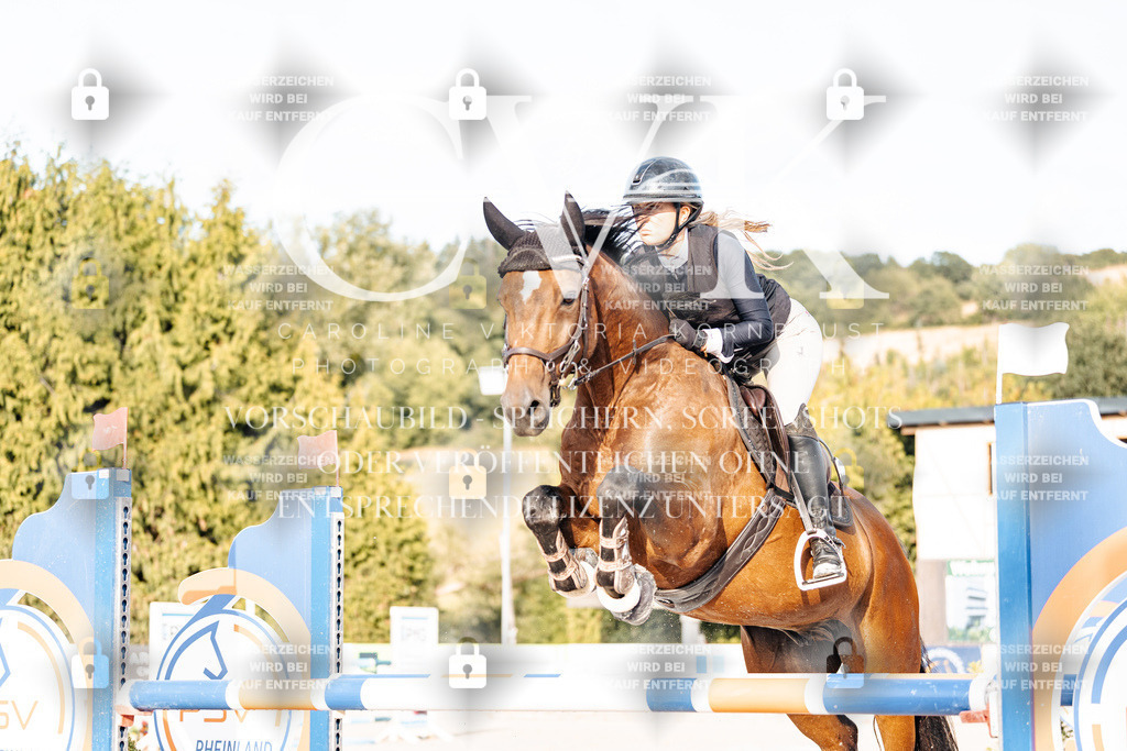 CK903266 | Turnierfotografie Pferdefotografie Trier Rheinland-Pfalz Pferdesport Reitsport Tierfotografie Sportfotografie Pferdevideo Pferdevideografie Equestrianvideography equestrianphotography  - Realisiert mit Pictrs.com