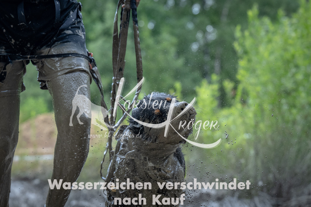 1158_ZZ94037 | kk-dogfotos