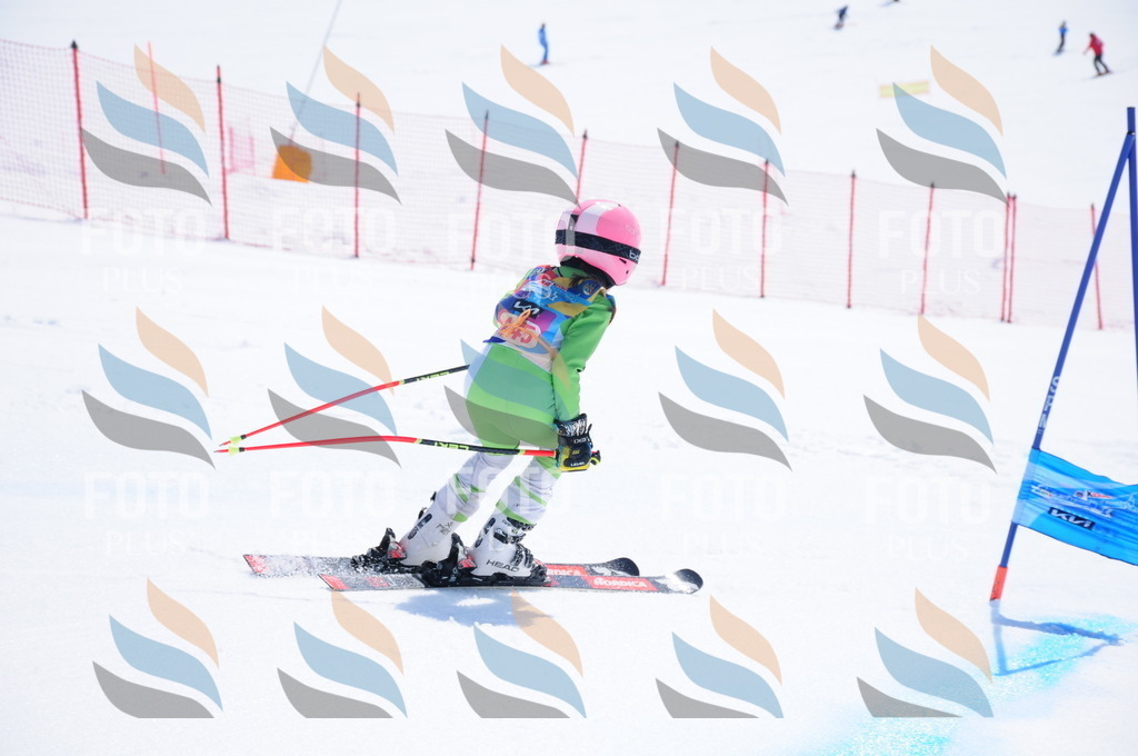 DSC_5225 | holidayphoto